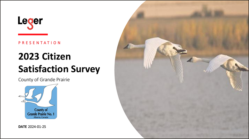 Citizen Satisfaction Survey Report